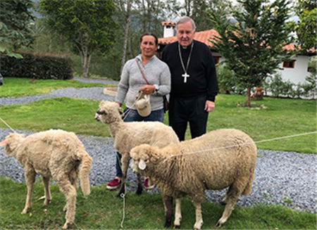 Messengers of Peace in Colombia continue to grow — in men and sheep