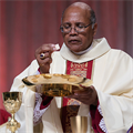 Bishop Holley removed from governance of Memphis