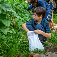 The garden of life: St. Ann School project is one of many that reinforces concept of sustainable living