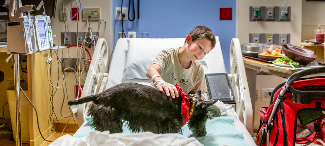 Deacon’s love for dogs translates into smiles for pediatric patients at Mercy Hospital