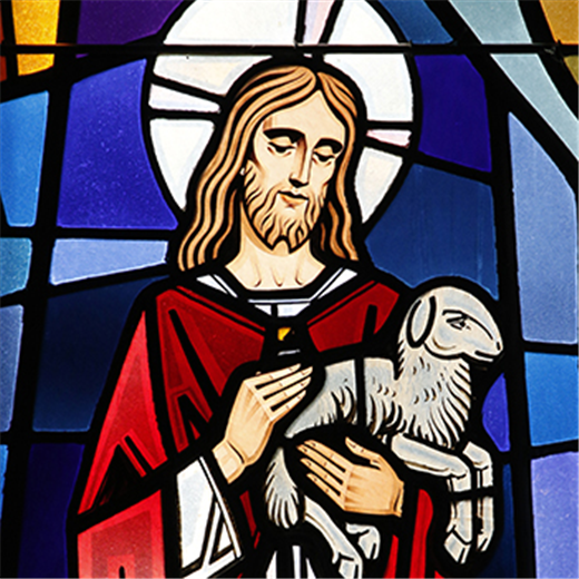 SUNDAY SCRIPTURES | Stepping back to follow the Good Shepherd