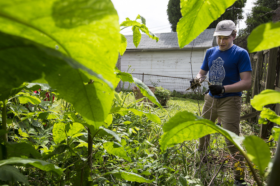 Saint Louis University High School student Kyle Hannan cut weeds June 6 at a home in the Baden neighborhood of St. Louis. Hannan participated in Project Life, a service retreat of the Office of Youth Ministry.