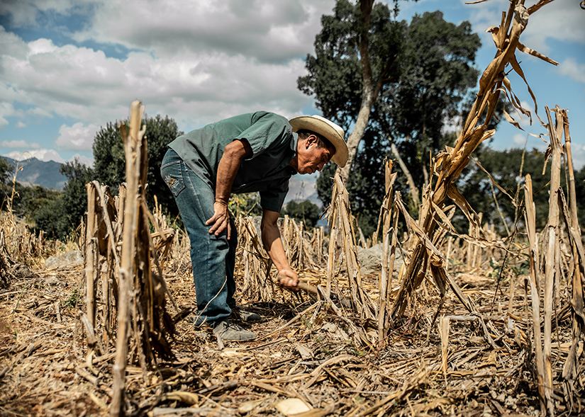 Silverio Mendez of Barrio El Cedro, Guatemala, is among hundreds of farmers involved in Catholic Relief Services’ Water-Smart Agriculture program, which teaches farmers how to improve soil quality and conserve water in the dry corridor of Central America.