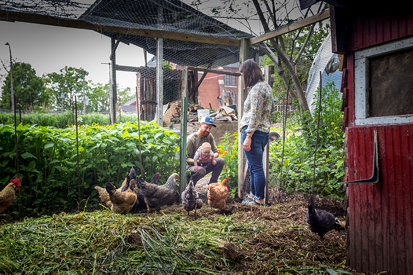 
Husband and wife urban farmers, Mary Densmore and James Meinert and their daughter Autumn, visited the chickens on their farm, Bee Simple City Farm.
