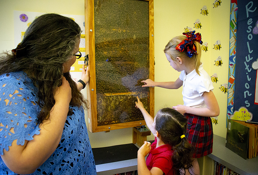 Kindergartners looked at honeybees working in an observational hive located in the library at St. John Fisher School in Portland, Ore., in 2018. Archbishop Jose H. Gomez of Los Angeles, president of the U.S. Conference of Catholic Bishops, is calling for government aid to help Catholic schools to prevent more closings.