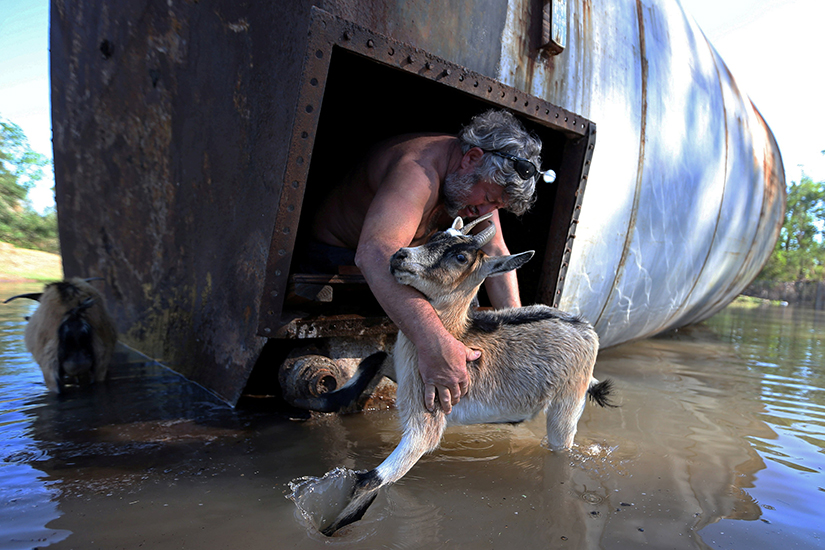 A farmer in Iowa, La., rescued his goat from a damaged silo Oct. 10, after Hurricane Delta swept through the area.
