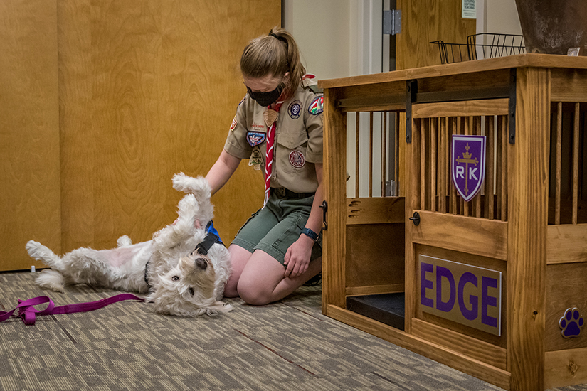 Ceri Brush’s Eagle Scout project involved building a kennel for the therapy dog, Edge, a labradoodle, at Rosati-Kain High School in St. Louis. She played with Edge in the counselor’s office before school.