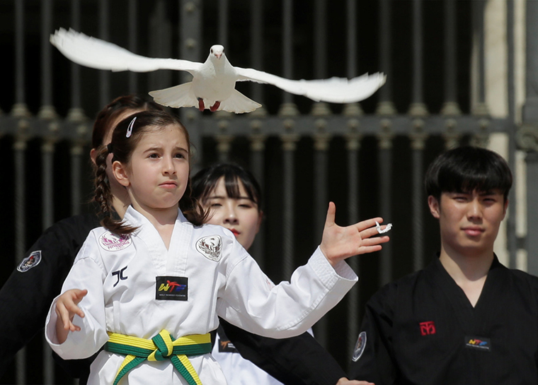 A Taekwondo athlete from Korea released a dove after performing for Pope Francis during his general audience May 30 in St. Peter’s Square at the Vatican.