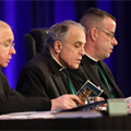 Vatican asks U.S. bishops to delay vote on sex abuse response proposals