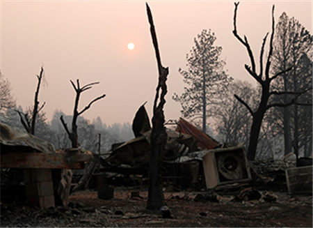  Catholic services move to help wildfire victims