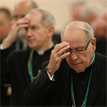 Bishops’ actions at spring meeting called a ‘work in progress’