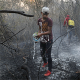 Wildfires point to urgency of upcoming Amazon synod