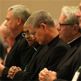 At assembly, U.S. bishops discuss bishop reporting system, examine challenges faced by Church, society