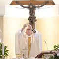 POPE’S MESSAGE | God scatters the seeds of His Word over all