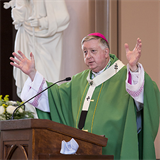 Involvement of St. Louis Catholics in pro-life movement “very impressive” Archbishop Rozanski said