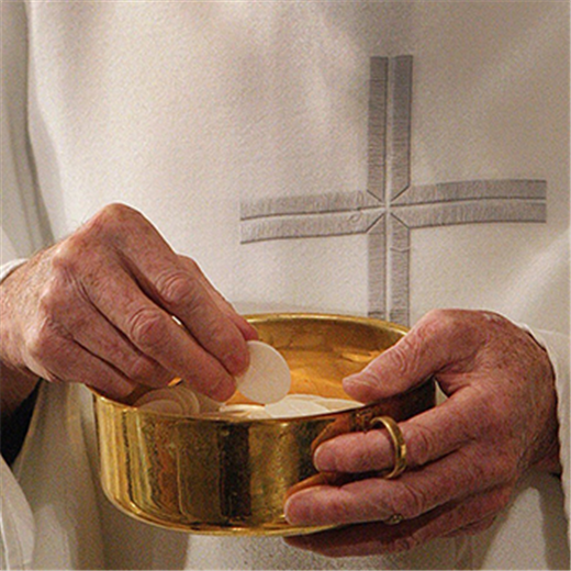 Debate, vote on proposed eucharistic document will top U.S. bishops’ agenda