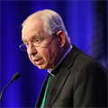 Church's evangelizing mission can heal division, archbishop tells assembly