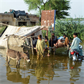 Bishop calls for help for Pakistanis left homeless, hungry by floods