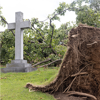 Storm damage at Calvary Cemetery described as “utter devastation”