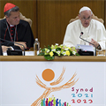 Vatican offers details on how synod will work, media access