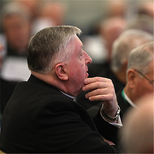 U.S. bishops’ November meeting focuses on synodality, technology in liturgy, and advancing a cause of canonization