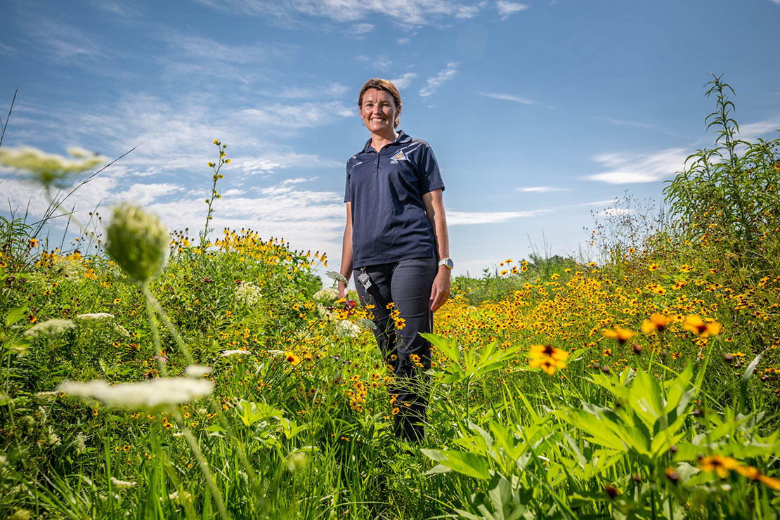 Erin Shank, an Urban Wildlife Biologist for the Missouri Department of Conservation, stood in a patch of little bluestem, indiangrass, queen anne’s lace, rudbeckia fulgida (orange coneflower) and plains coreopsis at Calvary Cemetery prairie in St. Louis. A portion of the cemetery has been reclaimed as native prairie area.