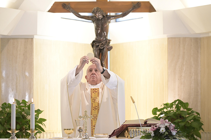 Pope Francis celebrated Mass in the chapel of his residence, the Domus Sanctae Marthae, at the Vatican July 8.