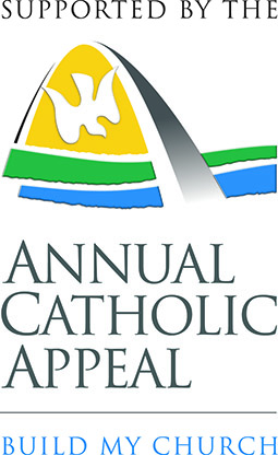annual catholic appeal st louis