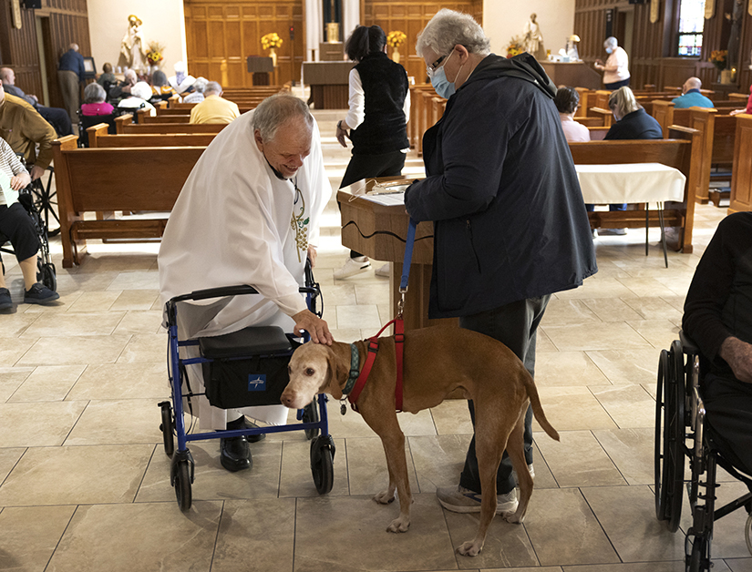 Father David Novak petted Brother Giovanni, aka Gio, a Hungarian vizsla after Mass Nov. 2 at Mother of Good Counsel Home in north St. Louis County. Doris Schoenhoff, right, a parishioner at Our Lady of the Presentation, borrows the dog from her pastor, Father Mark Dolan, to visit Mother of Good Counsel and other facilities.